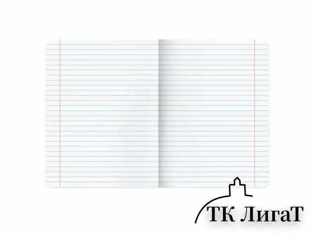 Тетради предметные, КОМПЛЕКТ 12 ПРЕДМЕТОВ, 48 л., TWIN лак, BRAUBERG "МЕМЫ", 405172