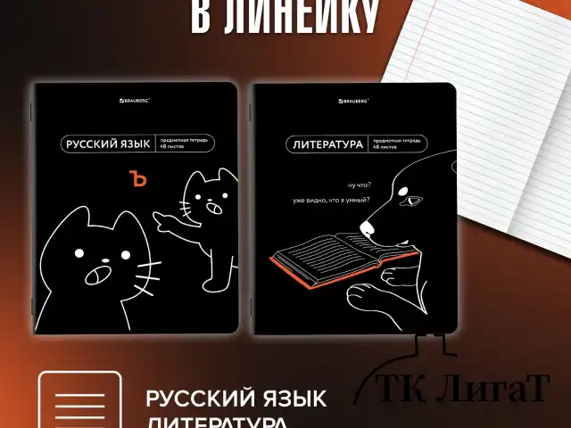 Тетради предметные, КОМПЛЕКТ 12 ПРЕДМЕТОВ, 48 л., TWIN лак, BRAUBERG "МЕМЫ", 405172