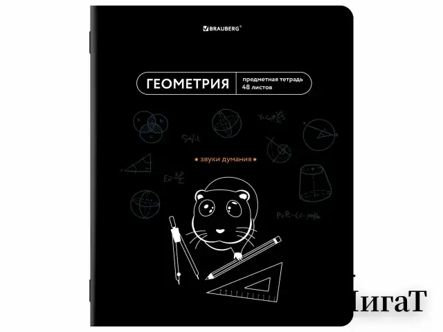 Тетради предметные, КОМПЛЕКТ 12 ПРЕДМЕТОВ, 48 л., TWIN лак, BRAUBERG "МЕМЫ", 405172