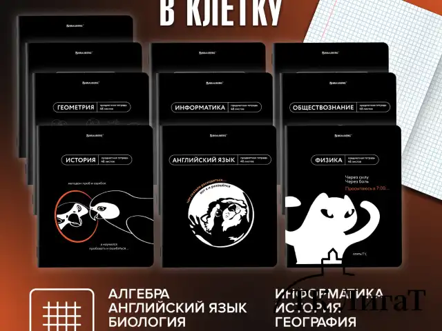 Тетради предметные, КОМПЛЕКТ 12 ПРЕДМЕТОВ, 48 л., TWIN лак, BRAUBERG "МЕМЫ", 405172