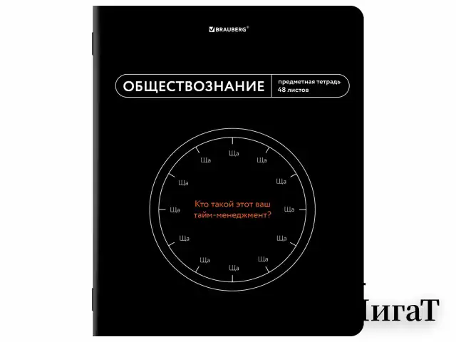 Тетради предметные, КОМПЛЕКТ 12 ПРЕДМЕТОВ, 48 л., TWIN лак, BRAUBERG "МЕМЫ", 405172