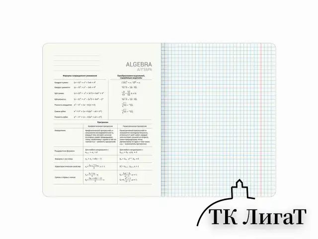 Тетради предметные, КОМПЛЕКТ 12 ПРЕДМЕТОВ, 48 л., TWIN лак, BRAUBERG "МЕМЫ", 405172