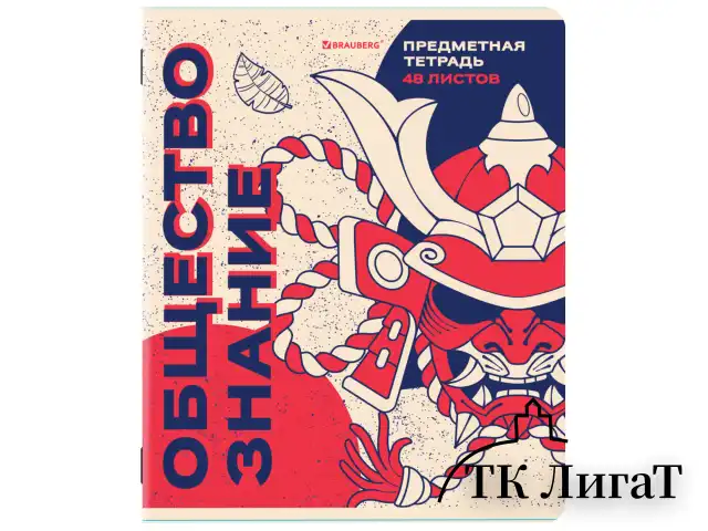 Тетради предметные, КОМПЛЕКТ 12 ПРЕДМЕТОВ, 48 л., TWIN лак, BRAUBERG "ASIA", 405174