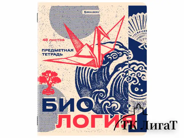 Тетради предметные, КОМПЛЕКТ 12 ПРЕДМЕТОВ, 48 л., TWIN лак, BRAUBERG "ASIA", 405174