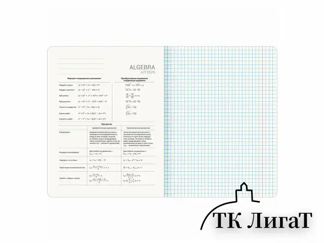 Тетради предметные, КОМПЛЕКТ 12 ПРЕДМЕТОВ, 48 л., TWIN лак, BRAUBERG "ASIA", 405174