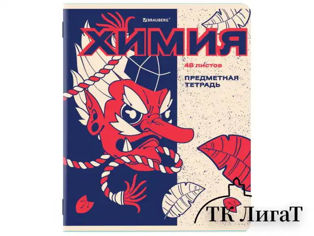 Тетради предметные, КОМПЛЕКТ 12 ПРЕДМЕТОВ, 48 л., TWIN лак, BRAUBERG "ASIA", 405174