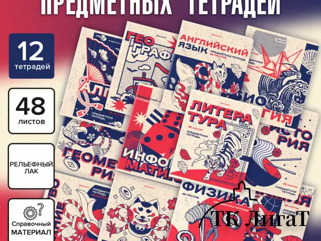 Тетради предметные, КОМПЛЕКТ 12 ПРЕДМЕТОВ, 48 л., TWIN лак, BRAUBERG "ASIA", 405174