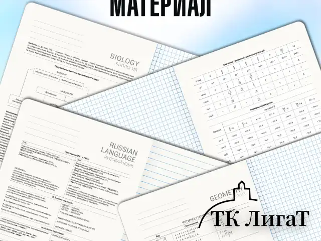 Тетради предметные, КОМПЛЕКТ 12 ПРЕДМЕТОВ, 48 л., TWIN лак, BRAUBERG "ASIA", 405174