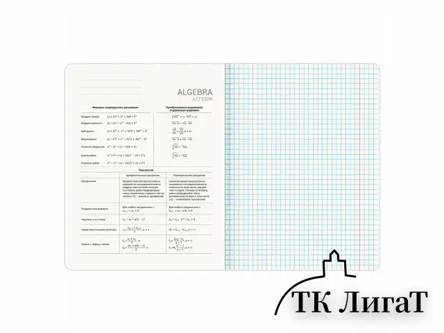 Тетради предметные, КОМПЛЕКТ 13 ПРЕДМЕТОВ, 48 л., матовая ламинация, BRAUBERG "MONOCOLOR", 405175