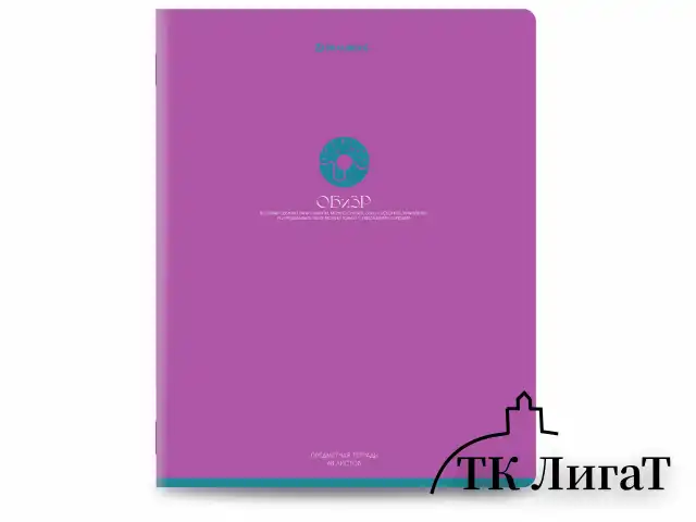 Тетради предметные, КОМПЛЕКТ 13 ПРЕДМЕТОВ, 48 л., матовая ламинация, BRAUBERG "MONOCOLOR", 405175