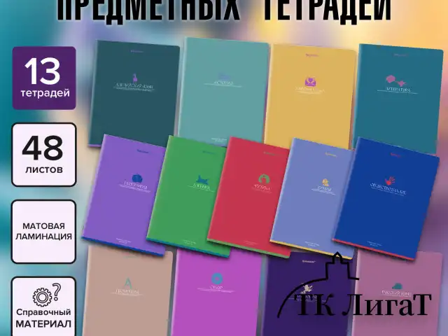 Тетради предметные, КОМПЛЕКТ 13 ПРЕДМЕТОВ, 48 л., матовая ламинация, BRAUBERG "MONOCOLOR", 405175