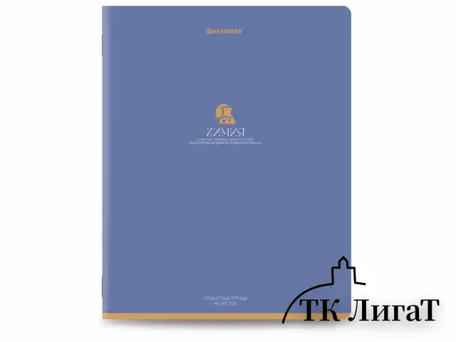 Тетради предметные, КОМПЛЕКТ 13 ПРЕДМЕТОВ, 48 л., матовая ламинация, BRAUBERG "MONOCOLOR", 405175