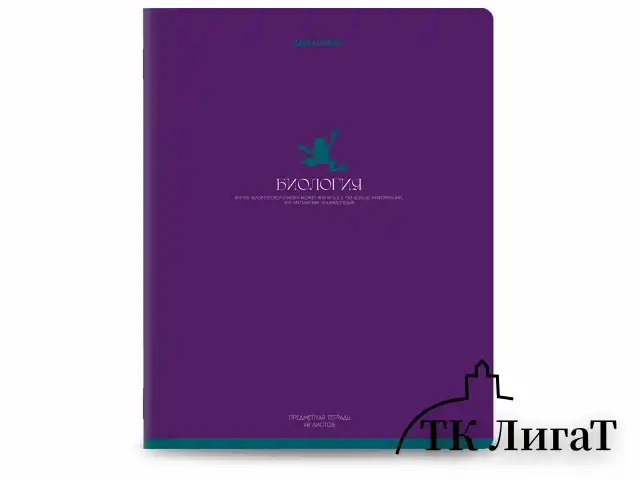 Тетради предметные, КОМПЛЕКТ 13 ПРЕДМЕТОВ, 48 л., матовая ламинация, BRAUBERG "MONOCOLOR", 405175