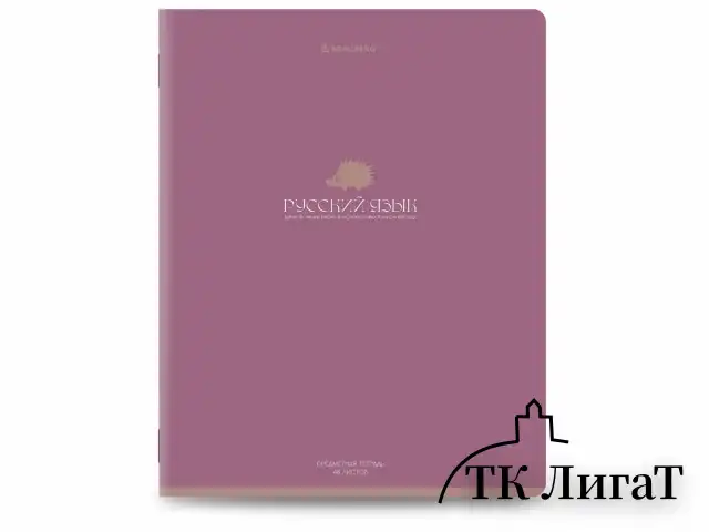Тетради предметные, КОМПЛЕКТ 13 ПРЕДМЕТОВ, 48 л., матовая ламинация, BRAUBERG "MONOCOLOR", 405175
