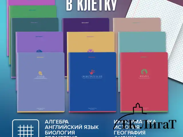 Тетради предметные, КОМПЛЕКТ 13 ПРЕДМЕТОВ, 48 л., матовая ламинация, BRAUBERG "MONOCOLOR", 405175