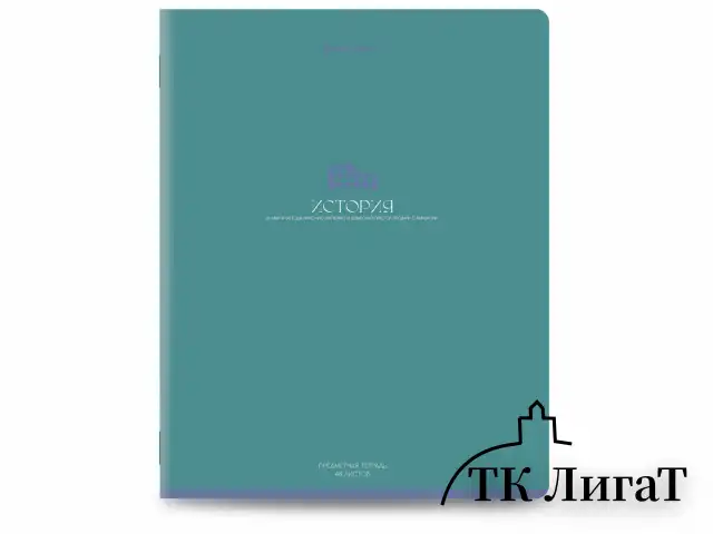 Тетради предметные, КОМПЛЕКТ 13 ПРЕДМЕТОВ, 48 л., матовая ламинация, BRAUBERG "MONOCOLOR", 405175