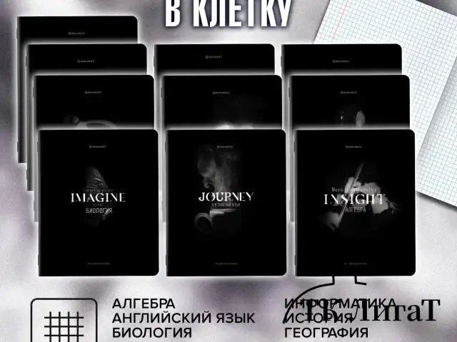 Тетради предметные, КОМПЛЕКТ 12 ПРЕДМЕТОВ, 48 л., матовая ламинация, BRAUBERG "SHADOWS", 405176