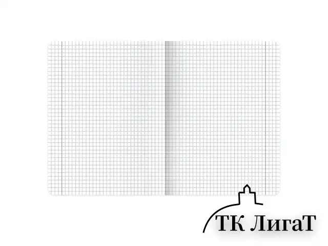 Тетради предметные, КОМПЛЕКТ 12 ПРЕДМЕТОВ, 48 л., матовая ламинация, BRAUBERG "SHADOWS", 405176