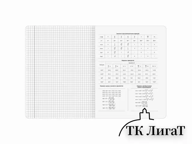 Тетради предметные, КОМПЛЕКТ 12 ПРЕДМЕТОВ, 48 л., матовая ламинация, BRAUBERG "SHADOWS", 405176