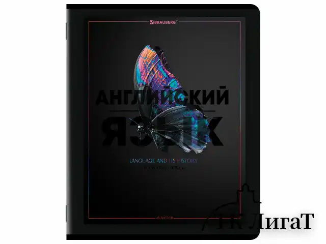 Тетради предметные, КОМПЛЕКТ 12 ПРЕДМЕТОВ, 48 л., матовая ламинация, лак, BRAUBERG "MAJESTIC BLACK", 405177