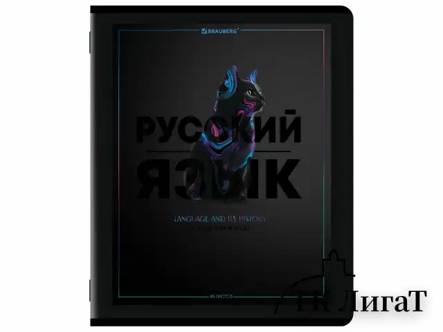 Тетради предметные, КОМПЛЕКТ 12 ПРЕДМЕТОВ, 48 л., матовая ламинация, лак, BRAUBERG "MAJESTIC BLACK", 405177