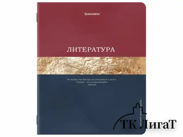 Тетради предметные, КОМПЛЕКТ 12 ПРЕДМЕТОВ, 48 л., матовая ламинация, фольга, BRAUBERG "GOLDY", 405178