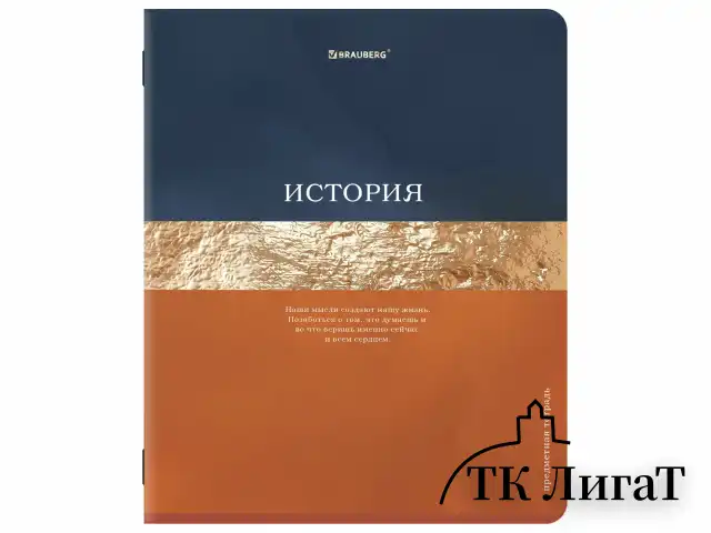 Тетради предметные, КОМПЛЕКТ 12 ПРЕДМЕТОВ, 48 л., матовая ламинация, фольга, BRAUBERG "GOLDY", 405178