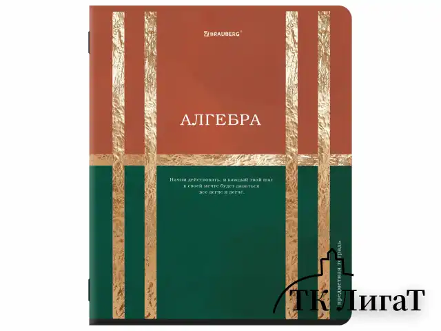Тетради предметные, КОМПЛЕКТ 12 ПРЕДМЕТОВ, 48 л., матовая ламинация, фольга, BRAUBERG "GOLDY", 405178
