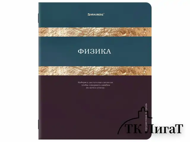 Тетради предметные, КОМПЛЕКТ 12 ПРЕДМЕТОВ, 48 л., матовая ламинация, фольга, BRAUBERG "GOLDY", 405178