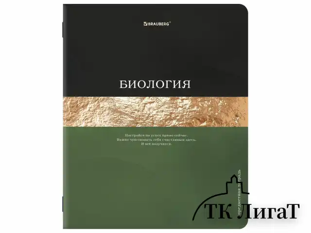 Тетради предметные, КОМПЛЕКТ 12 ПРЕДМЕТОВ, 48 л., матовая ламинация, фольга, BRAUBERG "GOLDY", 405178