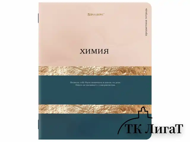 Тетради предметные, КОМПЛЕКТ 12 ПРЕДМЕТОВ, 48 л., матовая ламинация, фольга, BRAUBERG "GOLDY", 405178