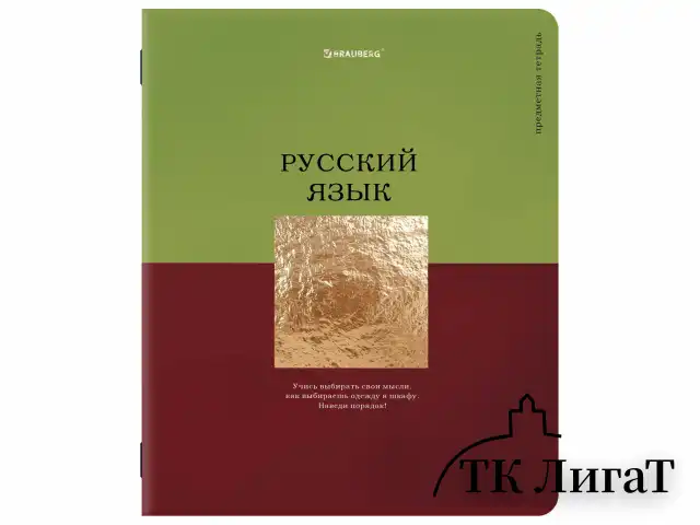 Тетради предметные, КОМПЛЕКТ 12 ПРЕДМЕТОВ, 48 л., матовая ламинация, фольга, BRAUBERG "GOLDY", 405178