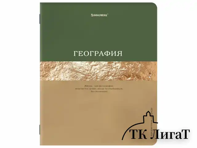Тетради предметные, КОМПЛЕКТ 12 ПРЕДМЕТОВ, 48 л., матовая ламинация, фольга, BRAUBERG "GOLDY", 405178