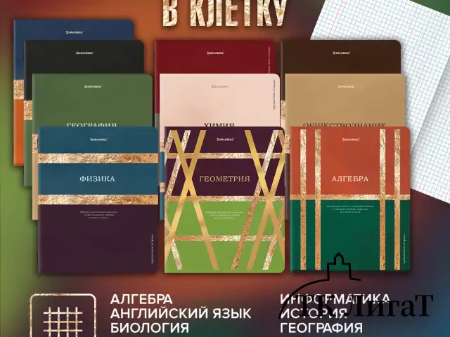 Тетради предметные, КОМПЛЕКТ 12 ПРЕДМЕТОВ, 48 л., матовая ламинация, фольга, BRAUBERG "GOLDY", 405178