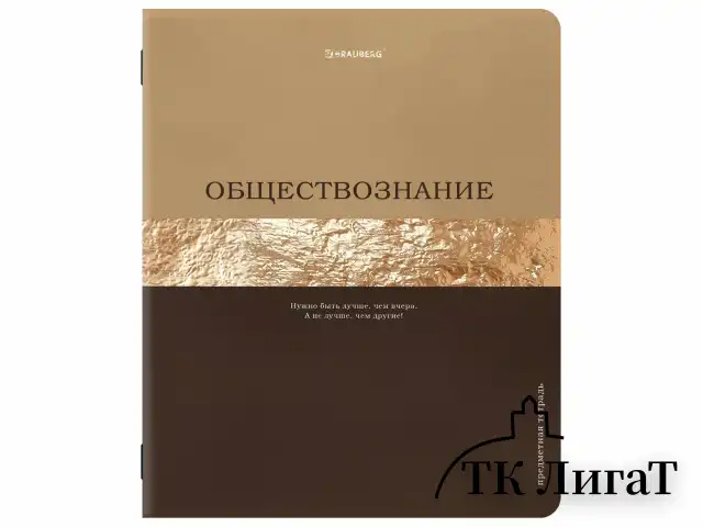 Тетради предметные, КОМПЛЕКТ 12 ПРЕДМЕТОВ, 48 л., матовая ламинация, фольга, BRAUBERG "GOLDY", 405178