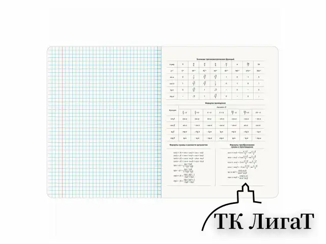 Тетради предметные, КОМПЛЕКТ 12 ПРЕДМЕТОВ, 48 л., рельефный картон, BRAUBERG "BLOSSOM", 405179