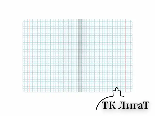Тетради предметные, КОМПЛЕКТ 12 ПРЕДМЕТОВ, 48 л., рельефный картон, BRAUBERG "BLOSSOM", 405179