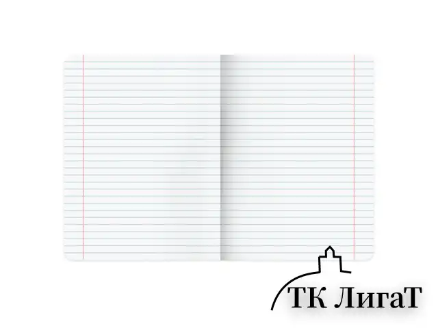 Тетради предметные, КОМПЛЕКТ 12 ПРЕДМЕТОВ, 48 л., рельефный картон, матовая ламинация, BRAUBERG "CLASSIC", 405180