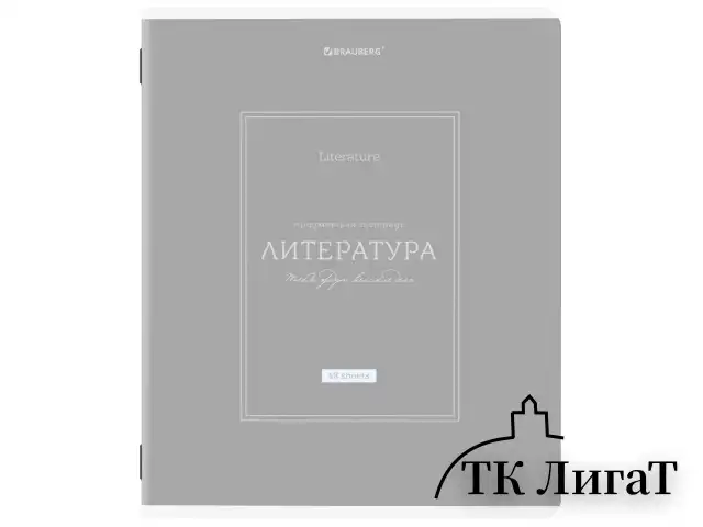 Тетради предметные, КОМПЛЕКТ 12 ПРЕДМЕТОВ, 48 л., рельефный картон, матовая ламинация, BRAUBERG "CLASSIC", 405180