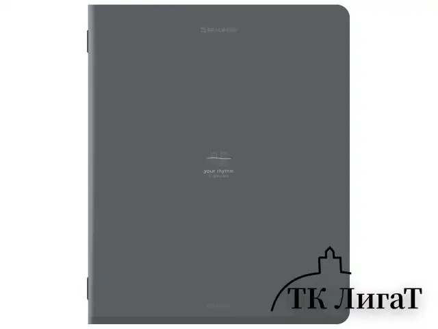 Тетради предметные, КОМПЛЕКТ 12 ПРЕДМЕТОВ, 48 л., SoftTouch, BRAUBERG "РИТМ", 405181