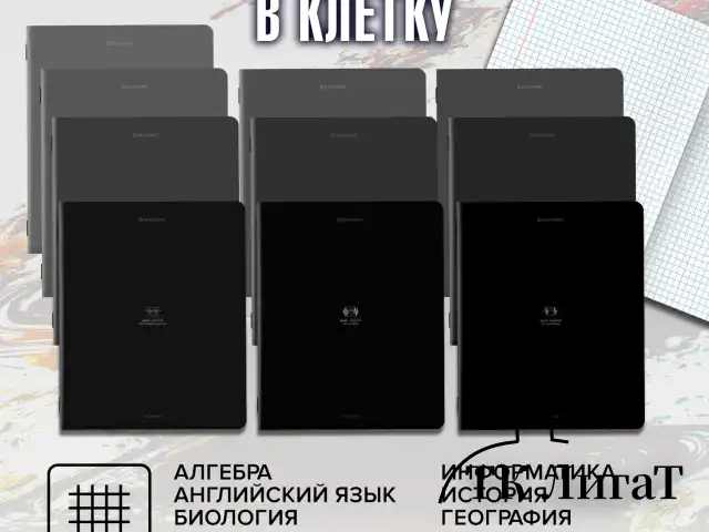 Тетради предметные, КОМПЛЕКТ 12 ПРЕДМЕТОВ, 48 л., SoftTouch, BRAUBERG "РИТМ", 405181