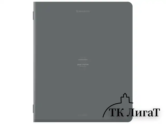 Тетради предметные, КОМПЛЕКТ 12 ПРЕДМЕТОВ, 48 л., SoftTouch, BRAUBERG "РИТМ", 405181