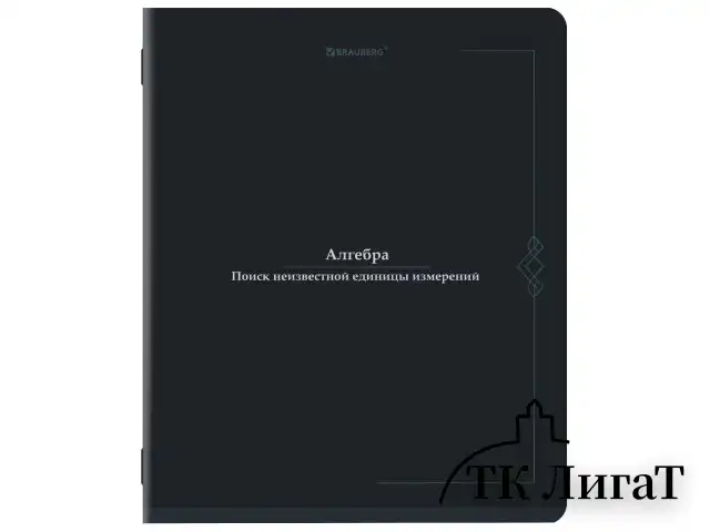 Тетради предметные, КОМПЛЕКТ 12 ПРЕДМЕТОВ, 48 л., SoftTouch, BRAUBERG "VINTAGE", 405183
