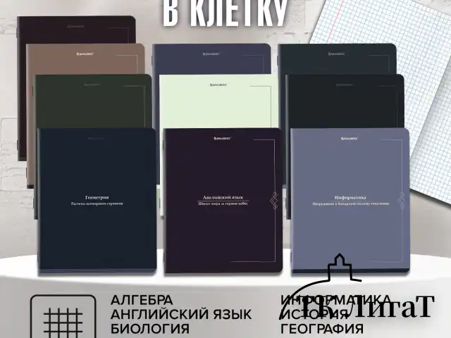 Тетради предметные, КОМПЛЕКТ 12 ПРЕДМЕТОВ, 48 л., SoftTouch, BRAUBERG "VINTAGE", 405183