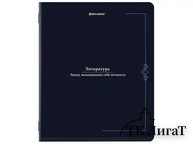 Тетради предметные, КОМПЛЕКТ 12 ПРЕДМЕТОВ, 48 л., SoftTouch, BRAUBERG "VINTAGE", 405183