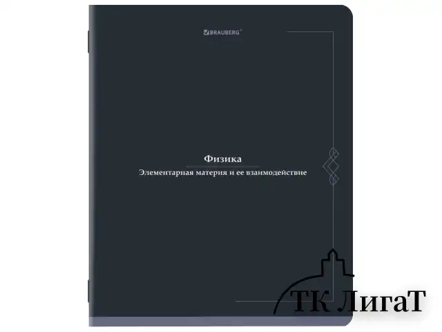 Тетради предметные, КОМПЛЕКТ 12 ПРЕДМЕТОВ, 48 л., SoftTouch, BRAUBERG "VINTAGE", 405183