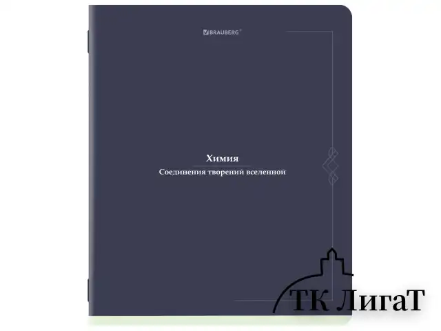 Тетради предметные, КОМПЛЕКТ 12 ПРЕДМЕТОВ, 48 л., SoftTouch, BRAUBERG "VINTAGE", 405183
