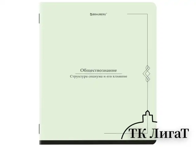 Тетради предметные, КОМПЛЕКТ 12 ПРЕДМЕТОВ, 48 л., SoftTouch, BRAUBERG "VINTAGE", 405183