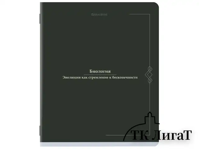 Тетради предметные, КОМПЛЕКТ 12 ПРЕДМЕТОВ, 48 л., SoftTouch, BRAUBERG "VINTAGE", 405183