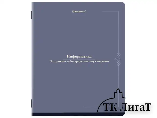Тетради предметные, КОМПЛЕКТ 12 ПРЕДМЕТОВ, 48 л., SoftTouch, BRAUBERG "VINTAGE", 405183